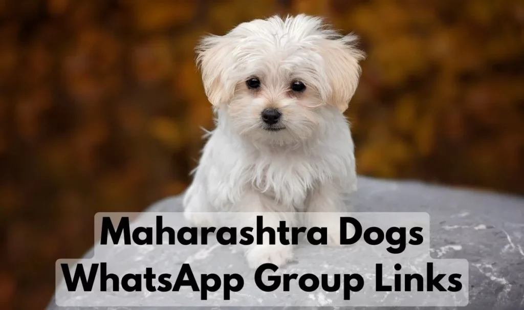Maharashtra Dog WhatsApp Group Link