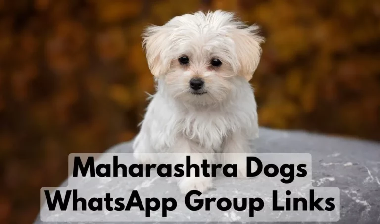 Maharashtra Dogs WhatsApp Group Links